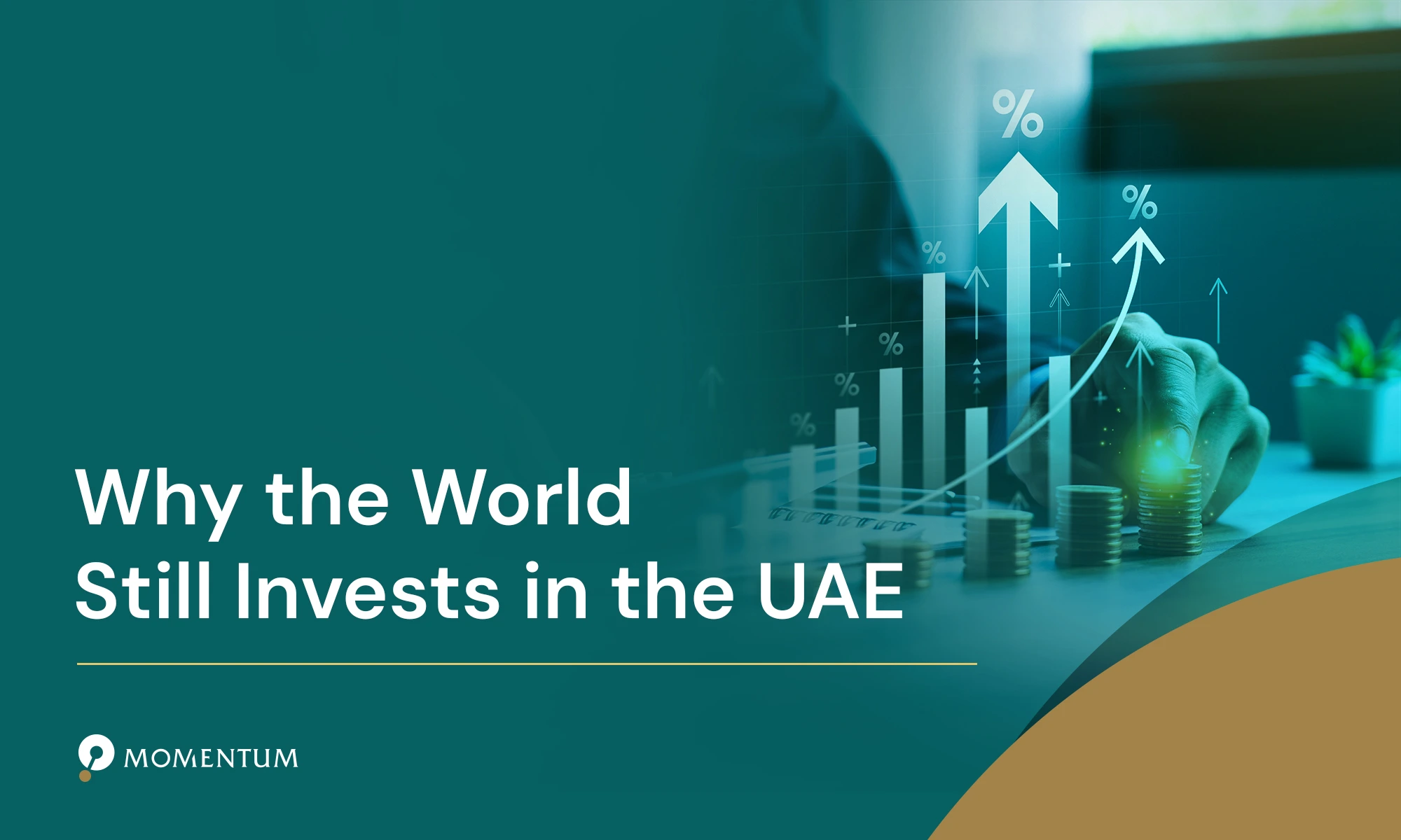 Invests-in-the-UAE